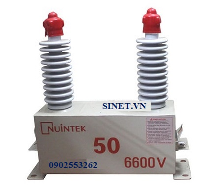 Tụ trung thế 50 kVar, 6.6kV